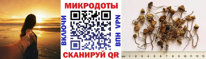 Псилоцибиновые грибы прущие грибы Бронницы
